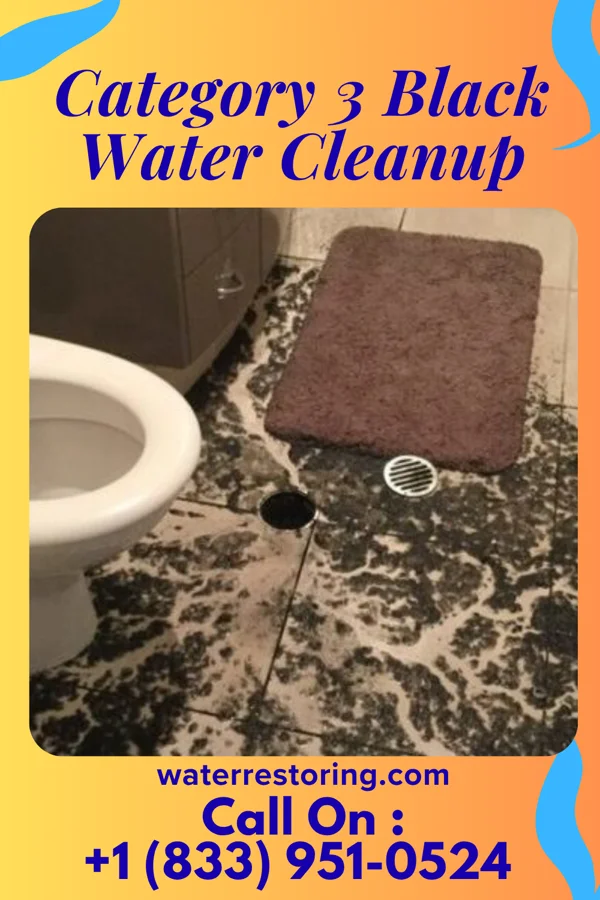 Category 3 Black Water Cleanup in Prineville, OR